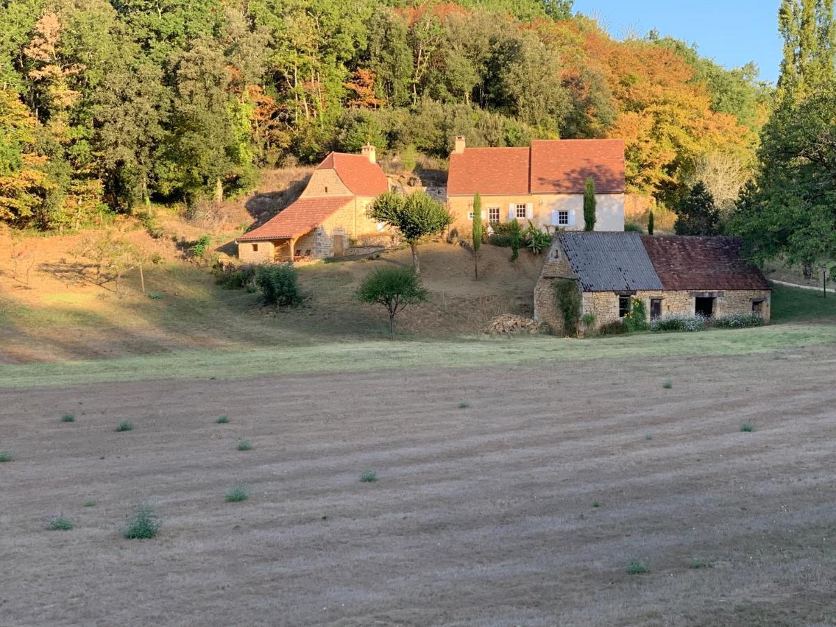 Gite Chez Le Gaulois Carsac-Aillac Eksteriør bilde