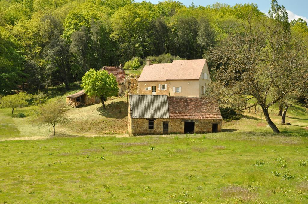 Gite Chez Le Gaulois Carsac-Aillac Eksteriør bilde